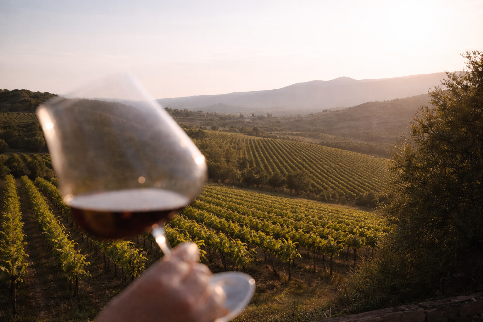 Wine Experiences